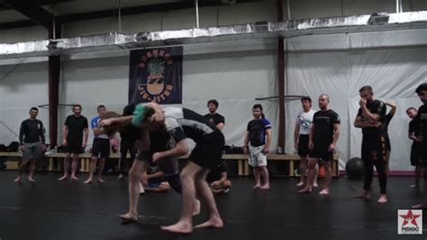 pedigo submission fighting|andrew wiltse bjj.